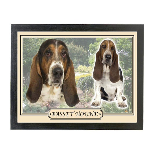 Basset Hound dog breed framed picture gift