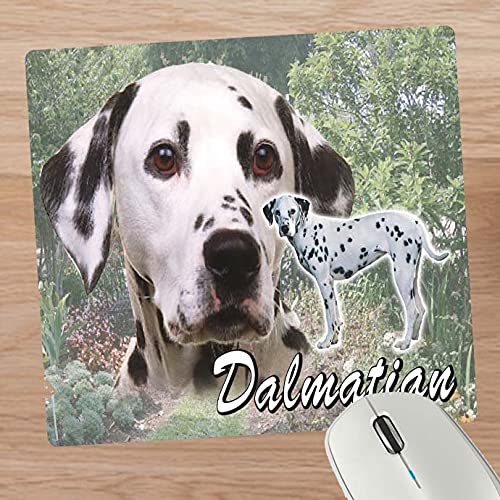 Dalmatian Dog Breed Mouse Mat Gift