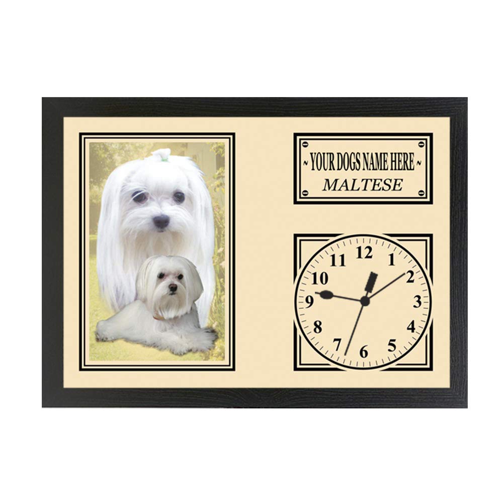 Maltese Personalised Dog Breed Gift Clock