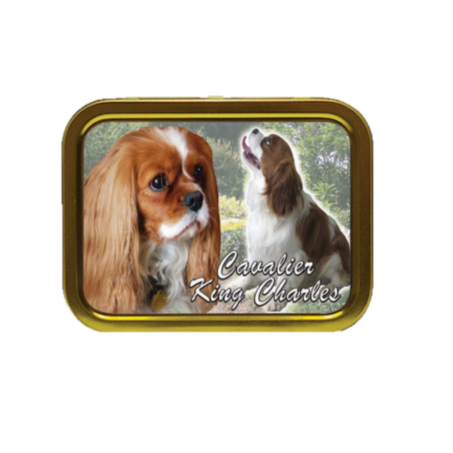 Cavalier King Charles Spaniel Dog Breed Tobacco Tin & Products Gift