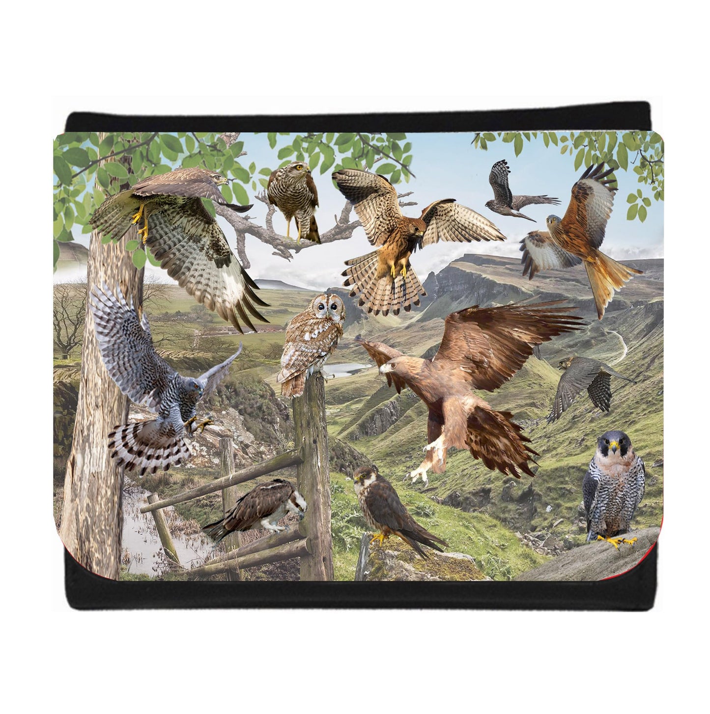 British Bird of Prey Wallet Gift