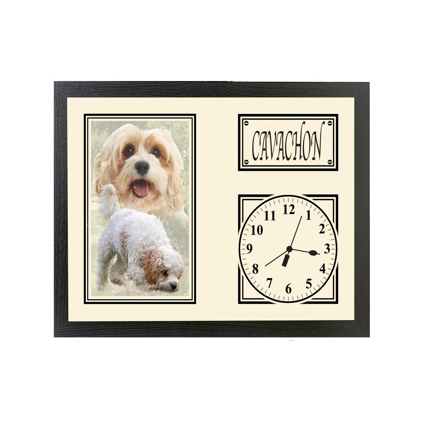 Cavachon Dog Breed Wall Mounted Kitchen Bedroom Gift Clock