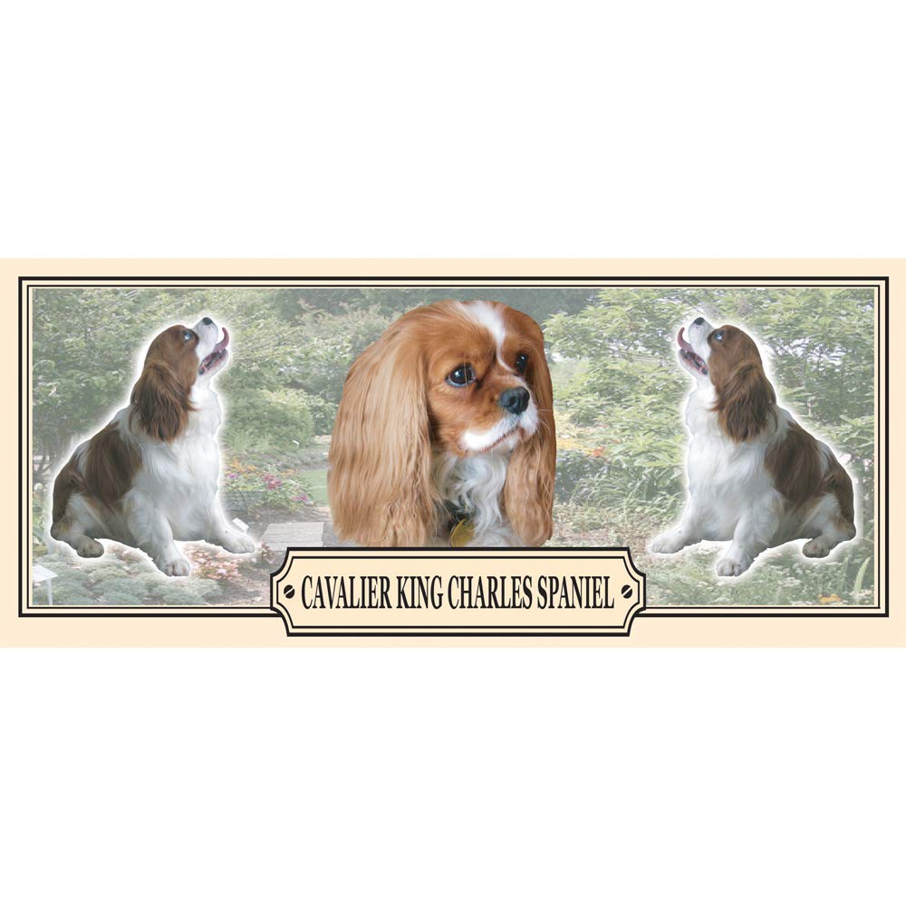 Cavalier King Charles Spaniel Dog Breed Gift Mug