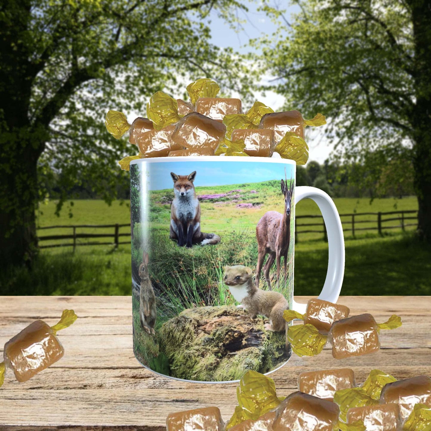 British Countryside Wildlife Animals Mug with Choice of Sweets Gift