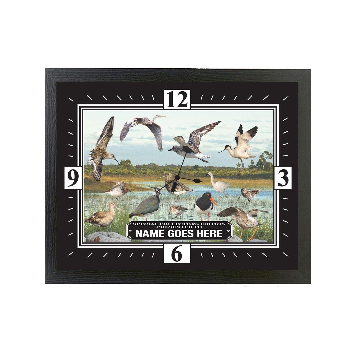 Personalised British Wetland Bird Ornithophile, Birder Wall Clock Gift