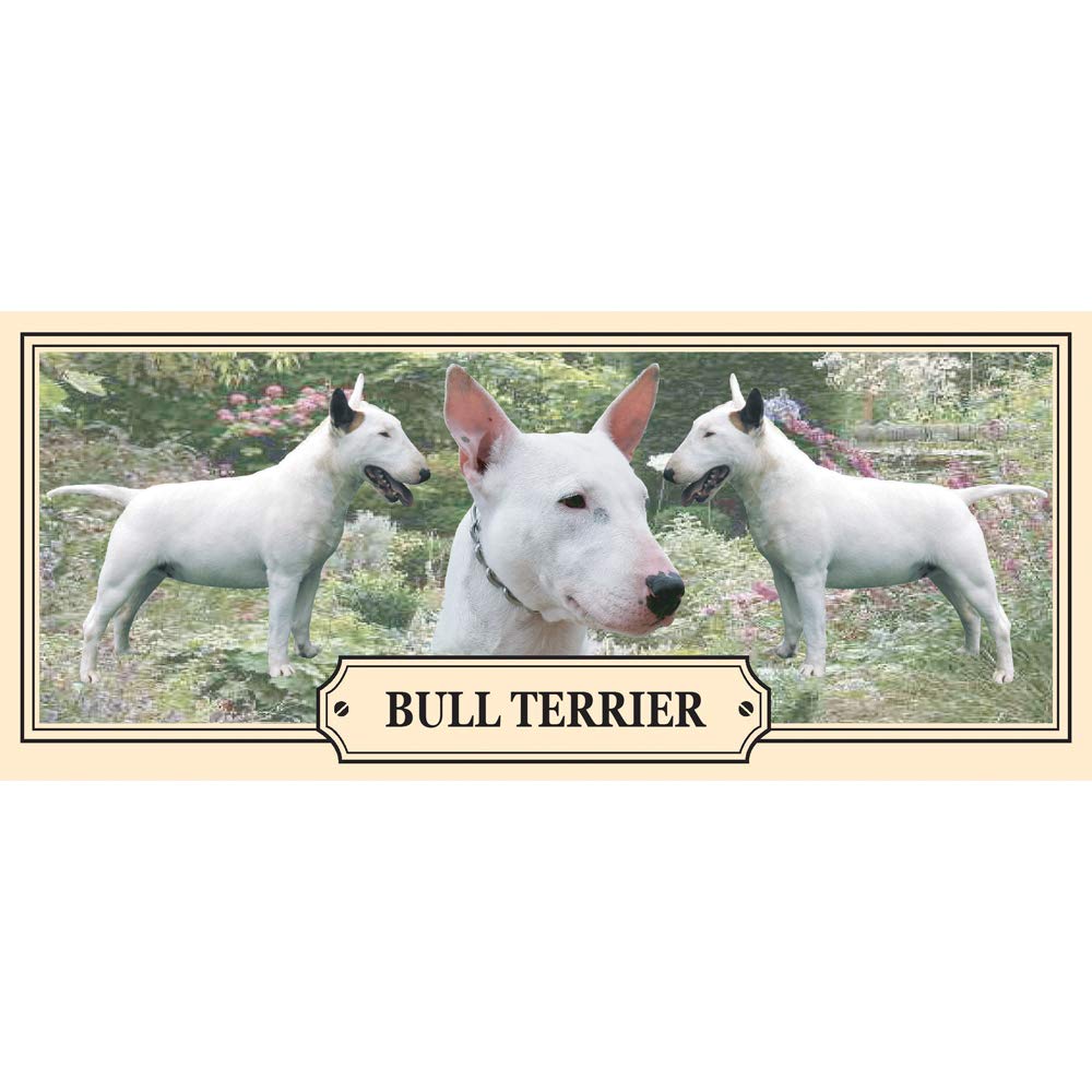Bull Terrier Dog Breed Gift Mug with Treats