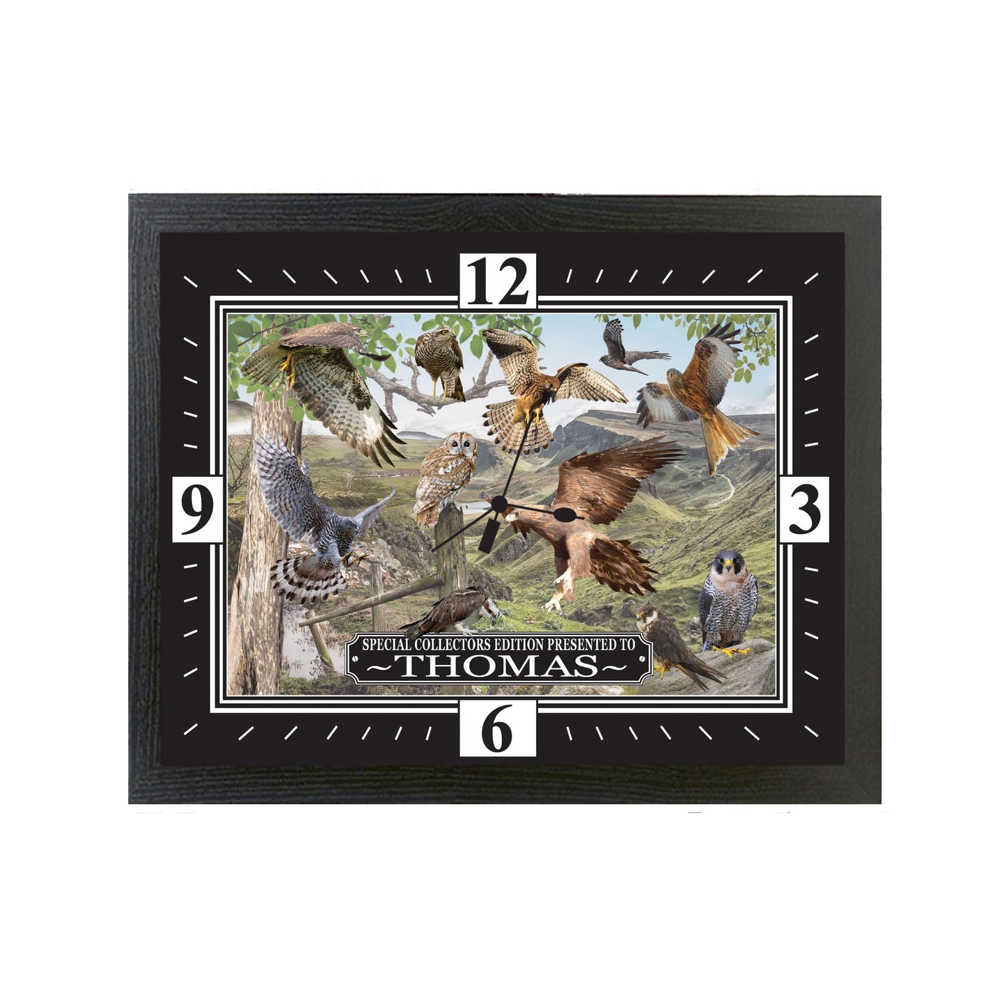 British Birds Of Prey Personalised Wall Clock Gift