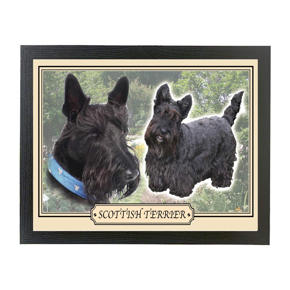 Scottish Terrier Dog Breed Gift Lap Tray
