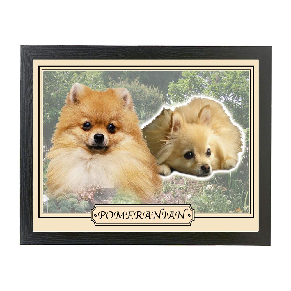 Pomeranian Dog Breed Gift Lap Tray