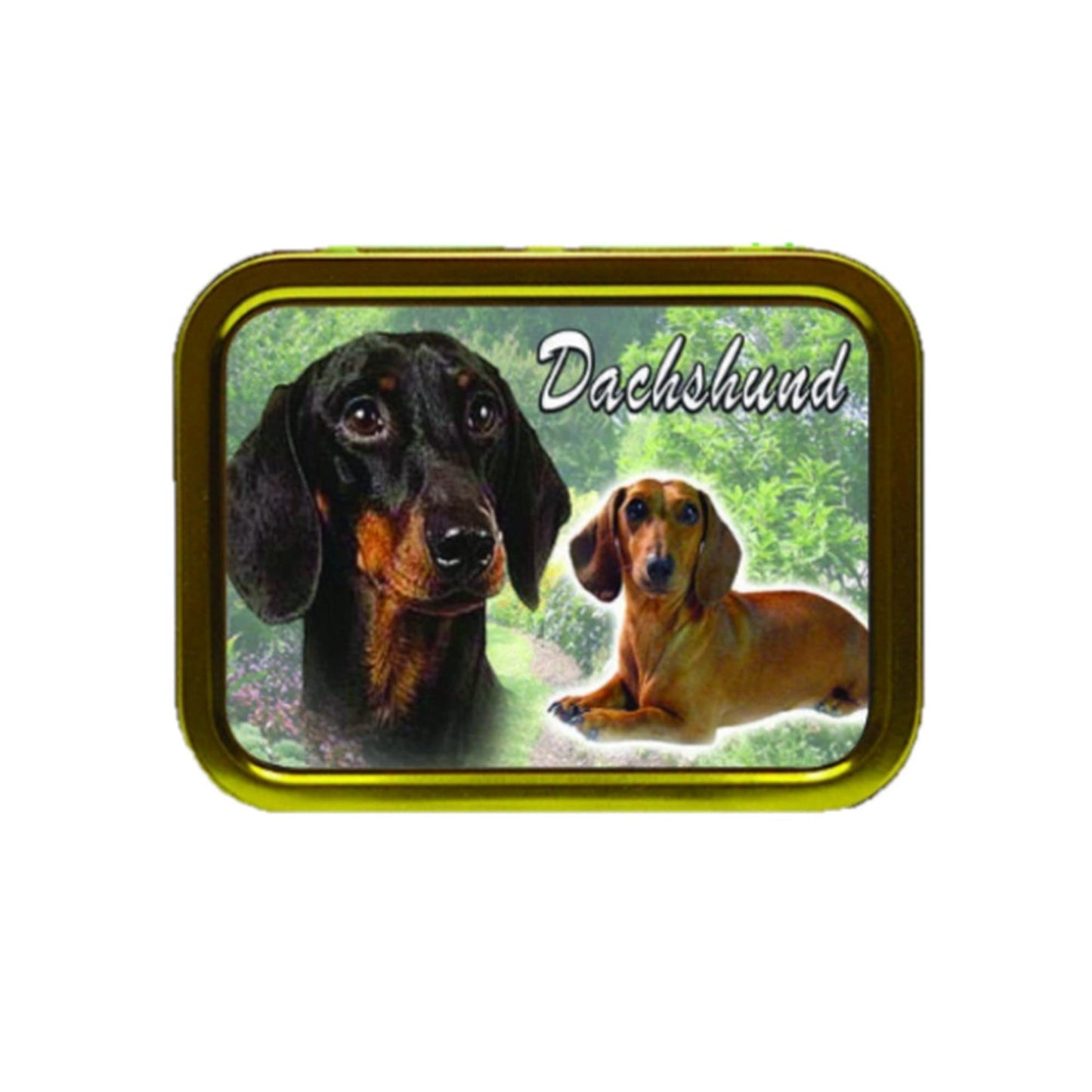 Dachshund Dog Breed Tobacco Tin & Products Gift