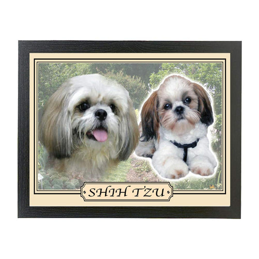 Shih Tzu dog breed framed picture gift