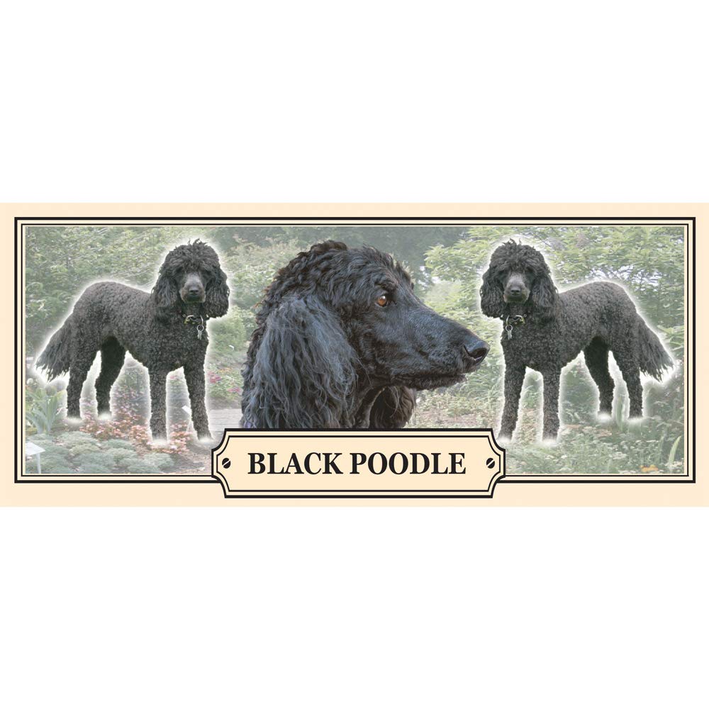 Black Poodle Dog Breed Gift Mug with Treats