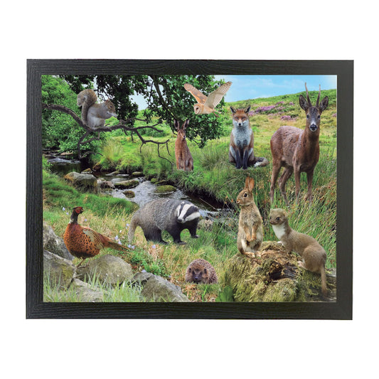 British Countryside Wildlife Animals Framed Wall Hanging Picture Gift