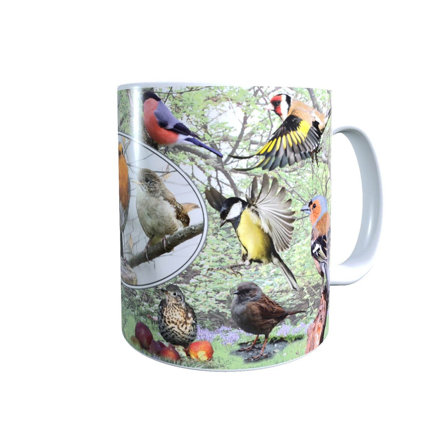 British Garden Birds Nature Lap Tray & Mug Gift Set, DIV001LTP