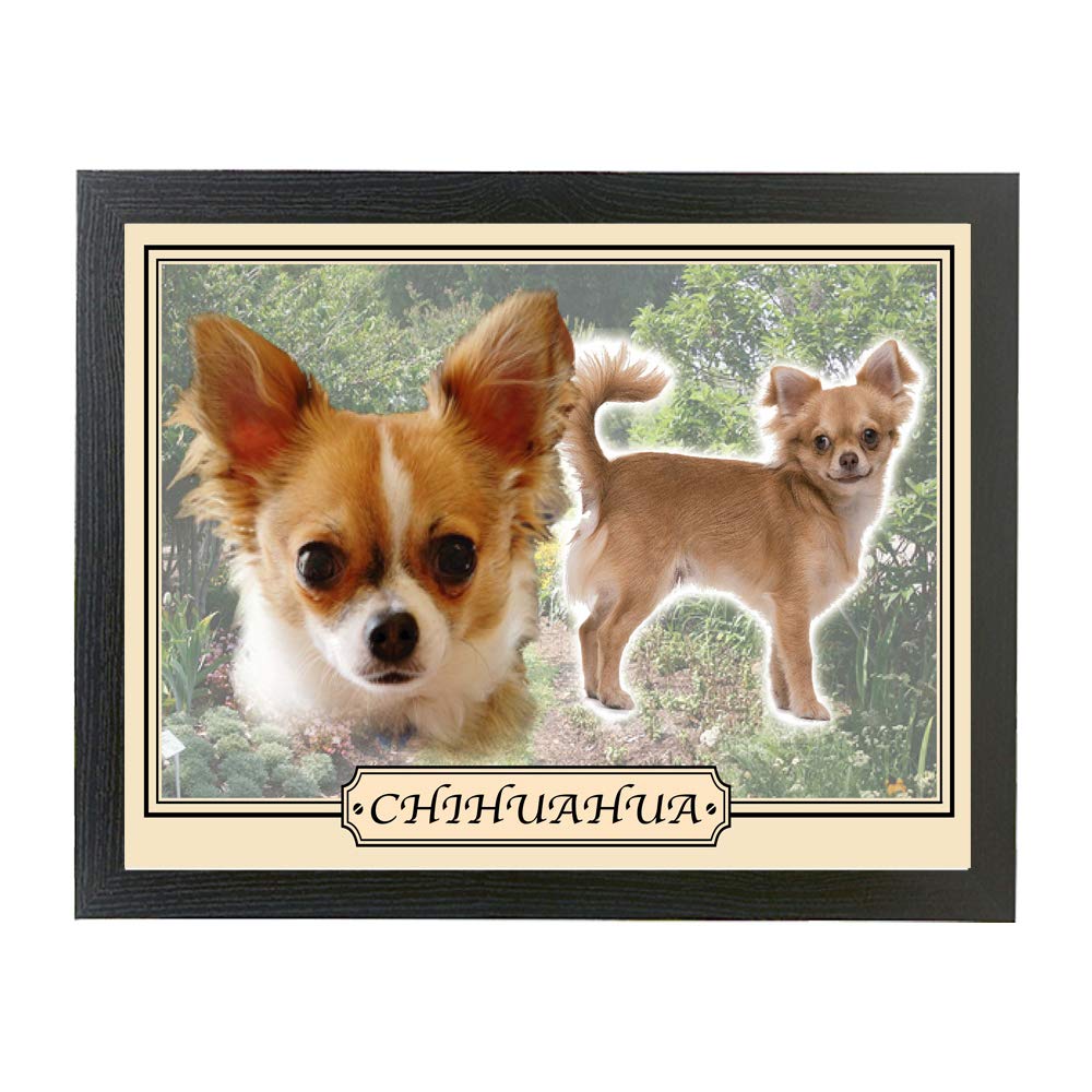Chihuahua Dog Breed Gift Lap Tray