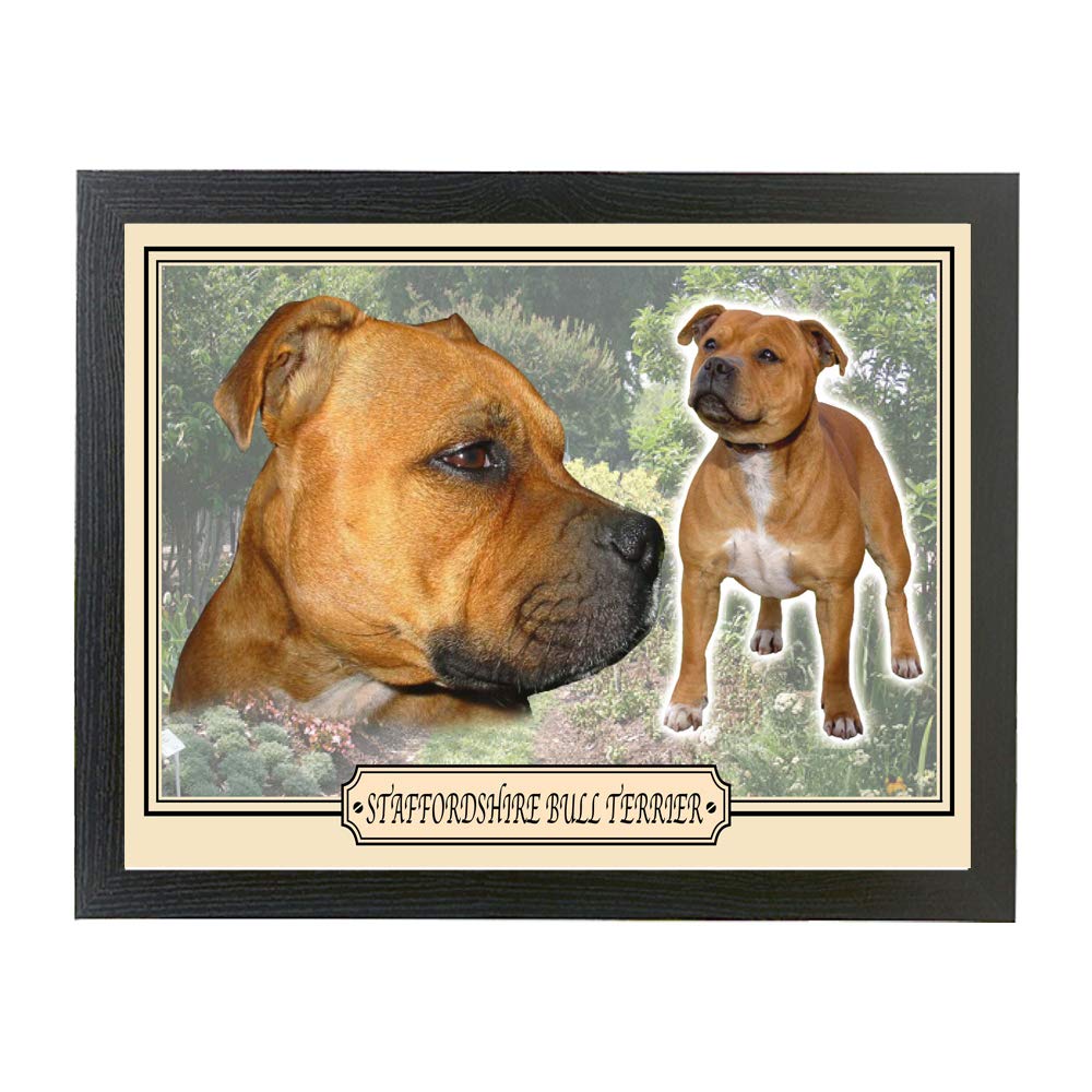 Brown Staffordshire Bull Terrier Dog Breed Gift Lap Tray