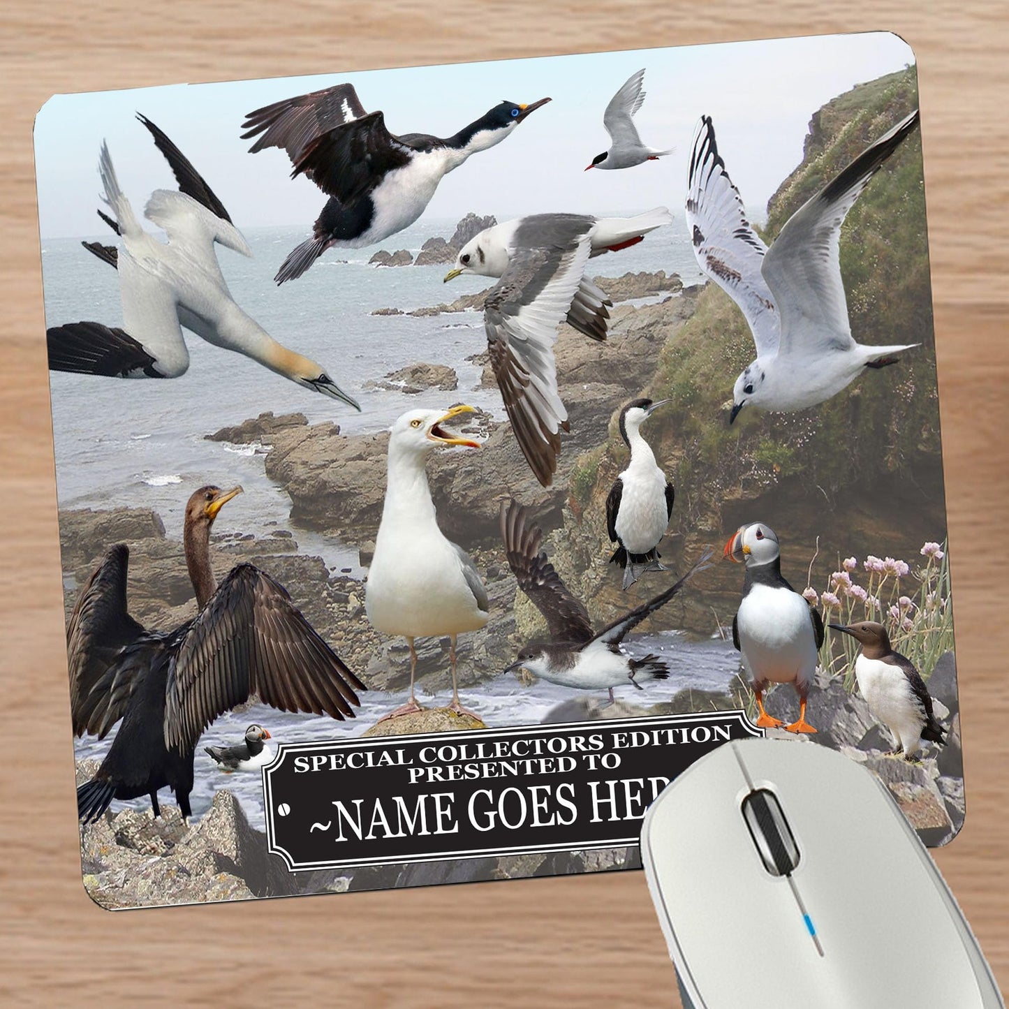 Coastal Birds Personalised Mouse Mat Gift