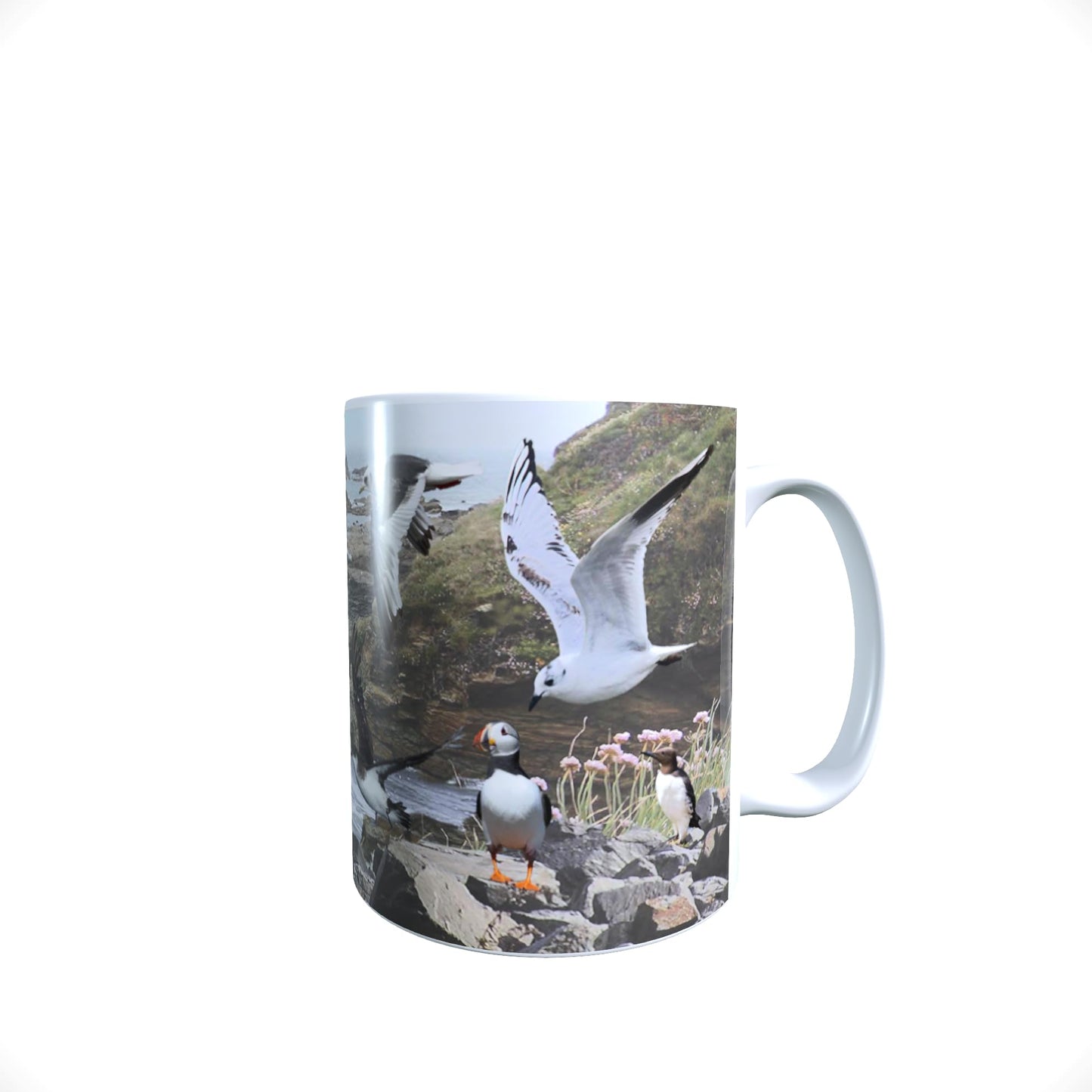 Coastal Birds Mug Gift, COASTBIRDMUG_000