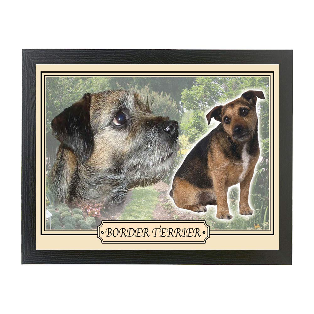Border Terrier Dog Breed Gift Lap Tray