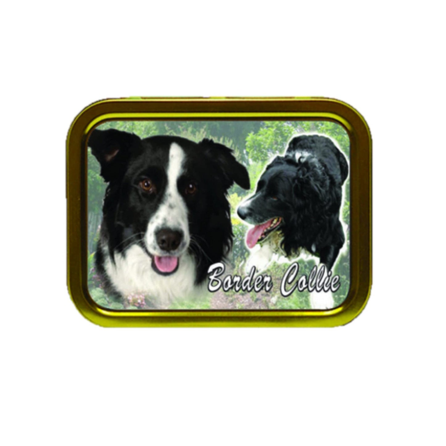 Border Collie Dog Breed Tobacco Tin & Products Gift