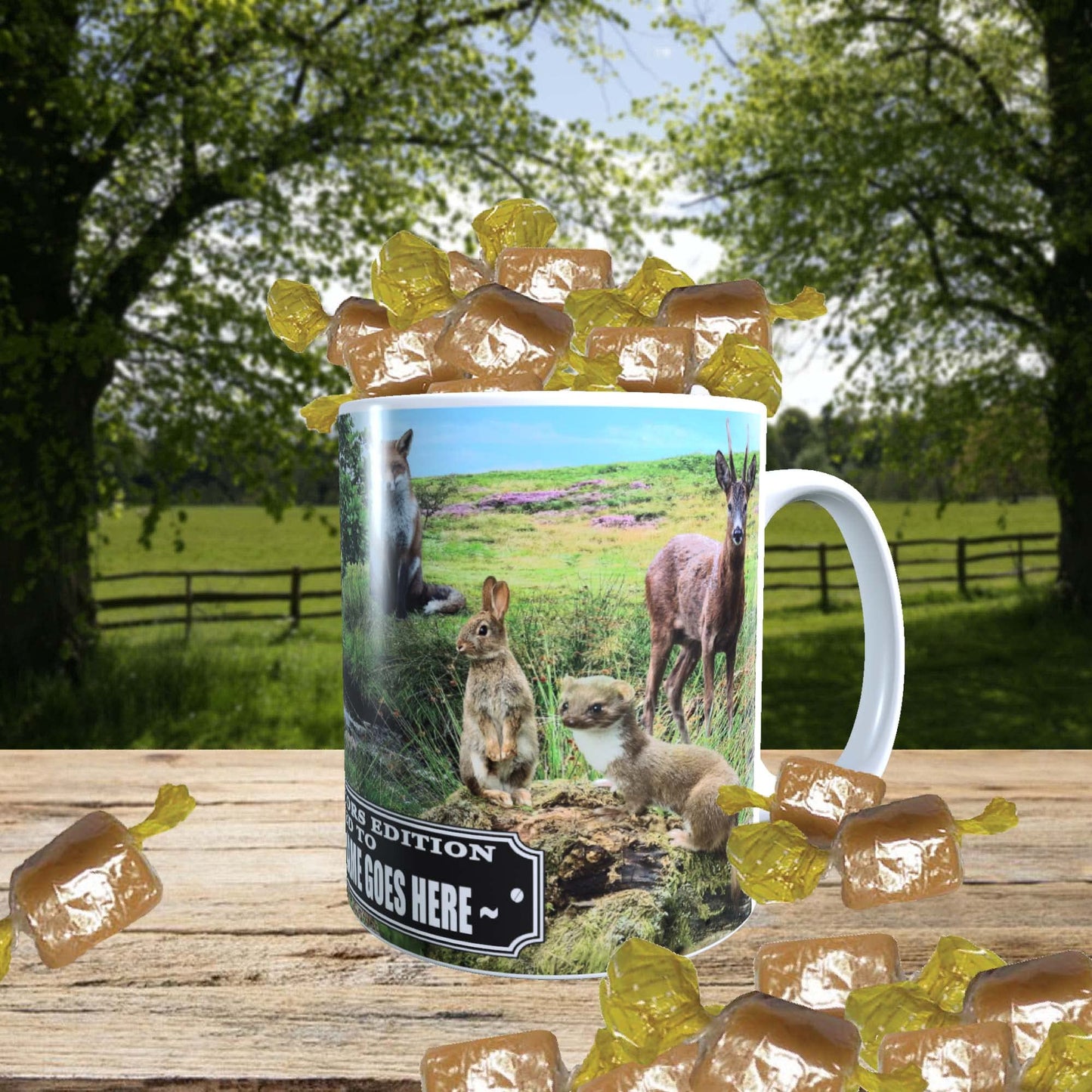 British Countryside Wildlife Animals Personalised Mug with a Choice of Sweets Gift