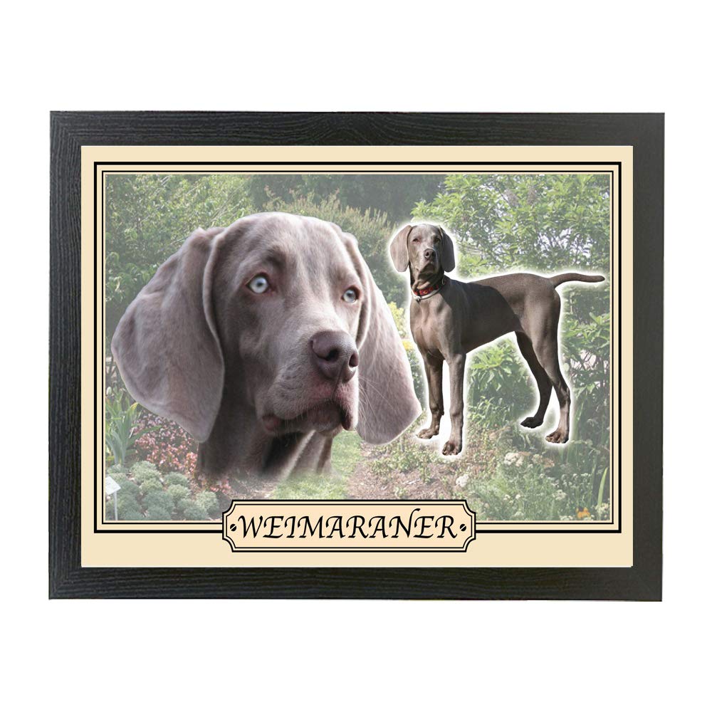 Weimaraner Dog Breed Gift Lap Tray