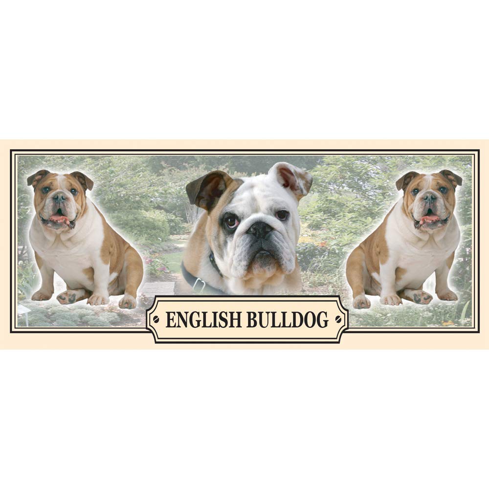 English Bulldog Dog Breed Gift Mug with Treats