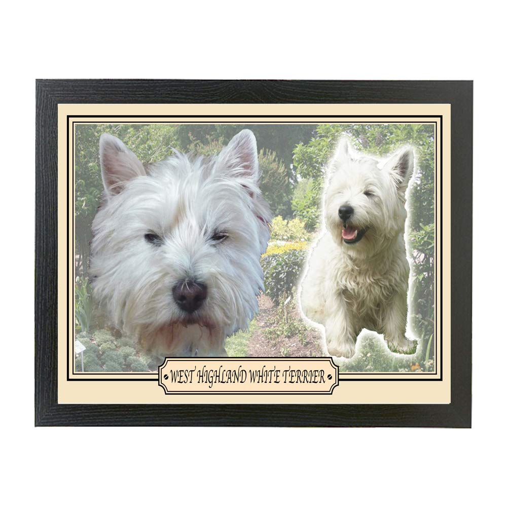 West Highland White Terrier dog breed framed picture gift