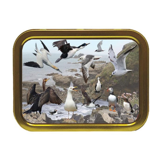 Coastal Birds Tobacco Storage Tin & Products