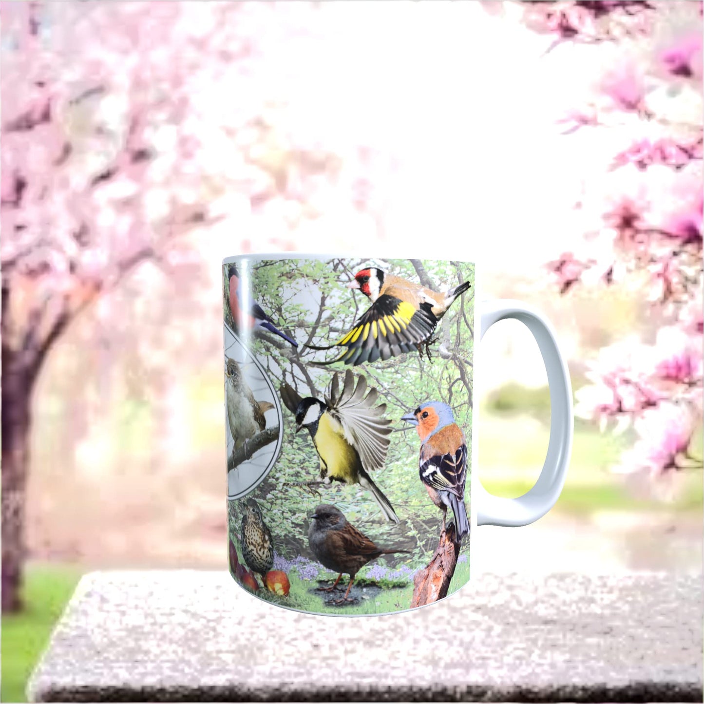British Garden Birds Mug Gift