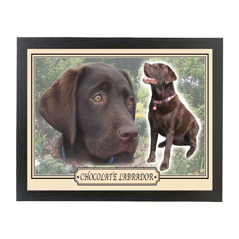 Chocolate Labrador Dog Breed Gift Lap Tray