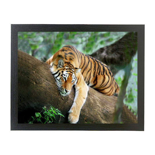 Tiger laying on a branch in the forest framed picture gift