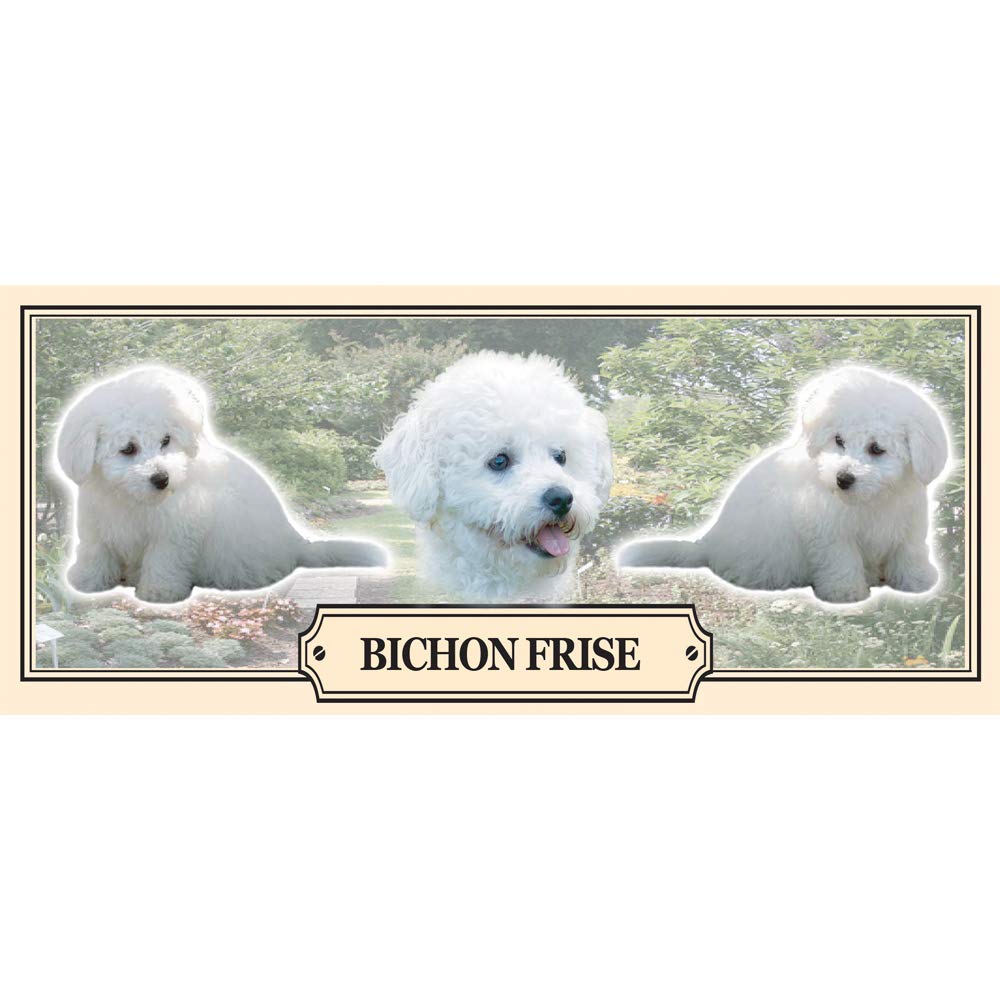 Bichon Frise Dog Breed Gift Mug with Treats