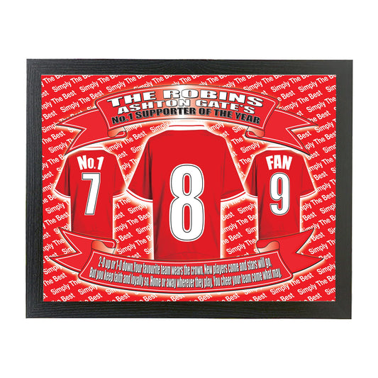 Bristol City Football Shirt Picture Gift