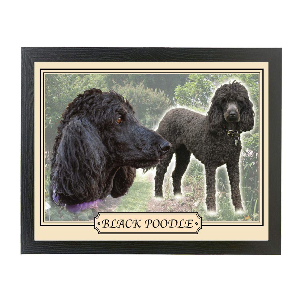 Black Poodle Dog Breed Gift Lap Tray