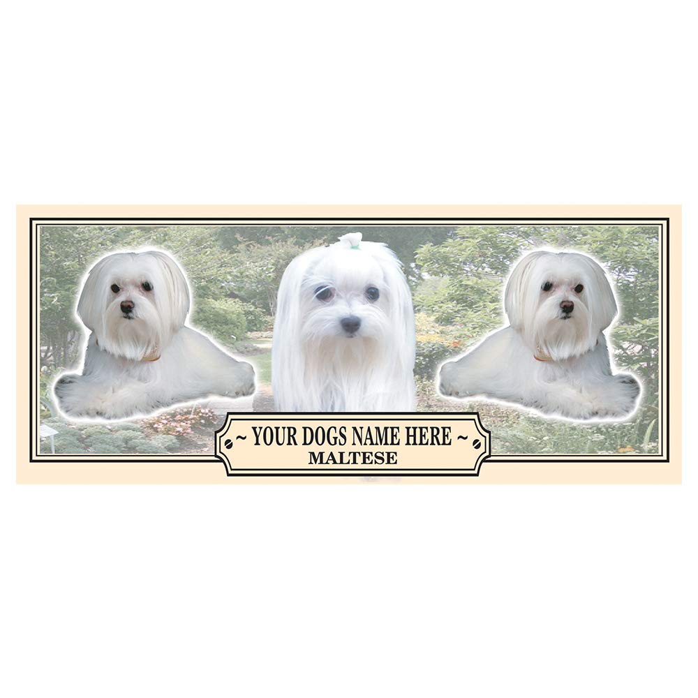 Maltese Personalised Dog Breed Gift Mug with Treats