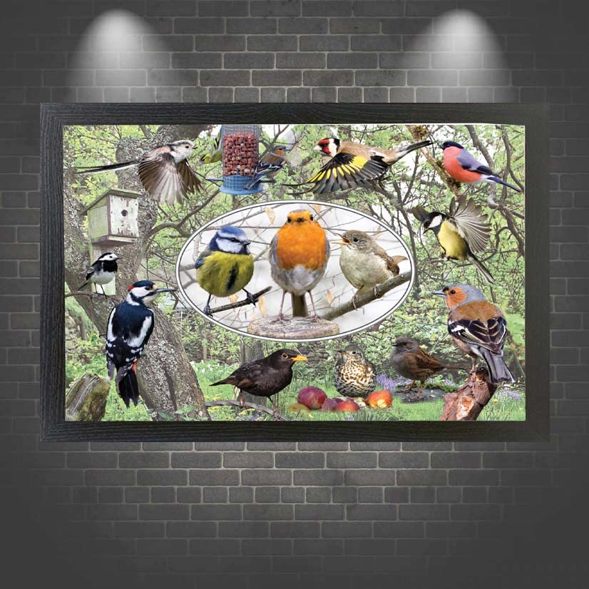 British Garden Birds Framed Wall Hanging Picture Gift, Multicolor