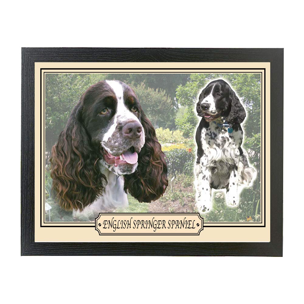 English Springer Spaniel Dog Breed Gift Lap Tray