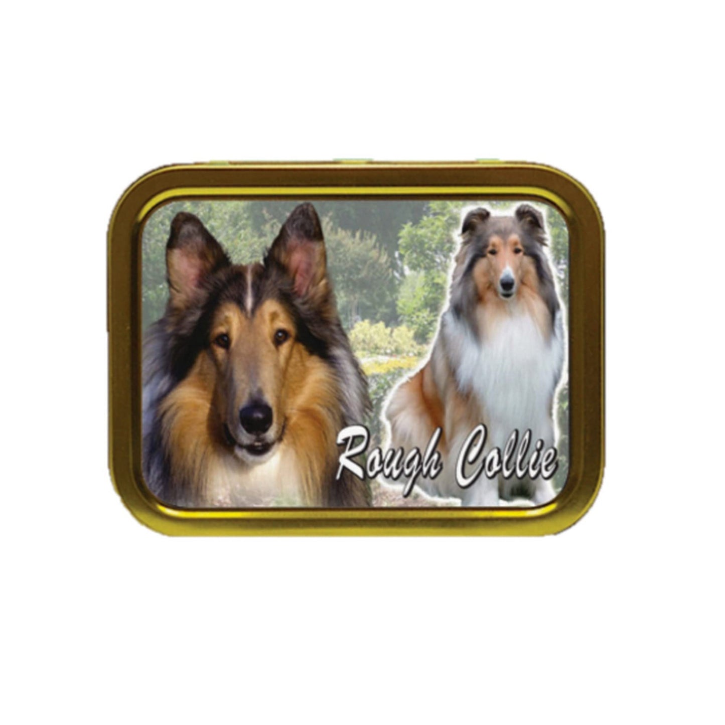 Rough Collie Dog Breed Tobacco Tin & Products Gift