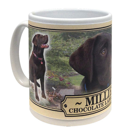 Chocolate Labrador Personalised Dog Breed Gift Mug