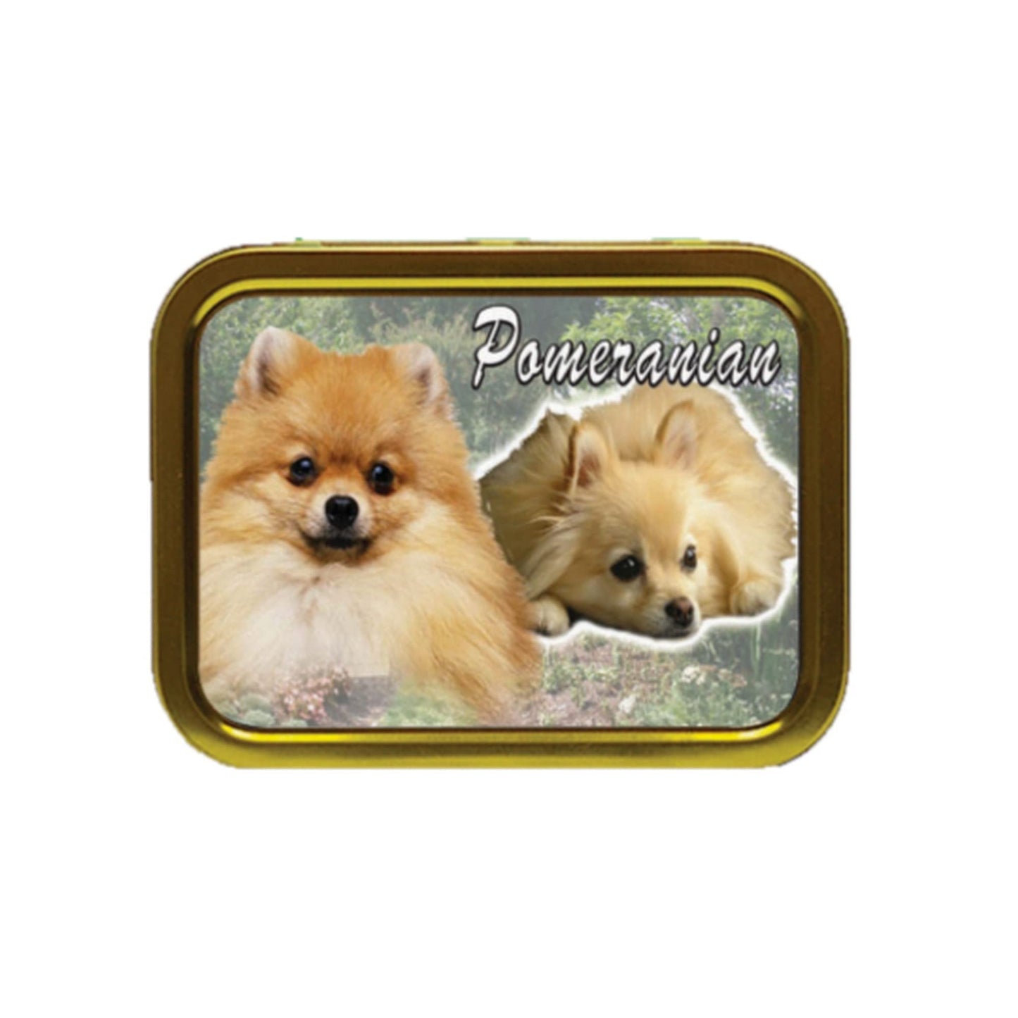 Pomeranian Dog Breed Tobacco Storage Tin & Products