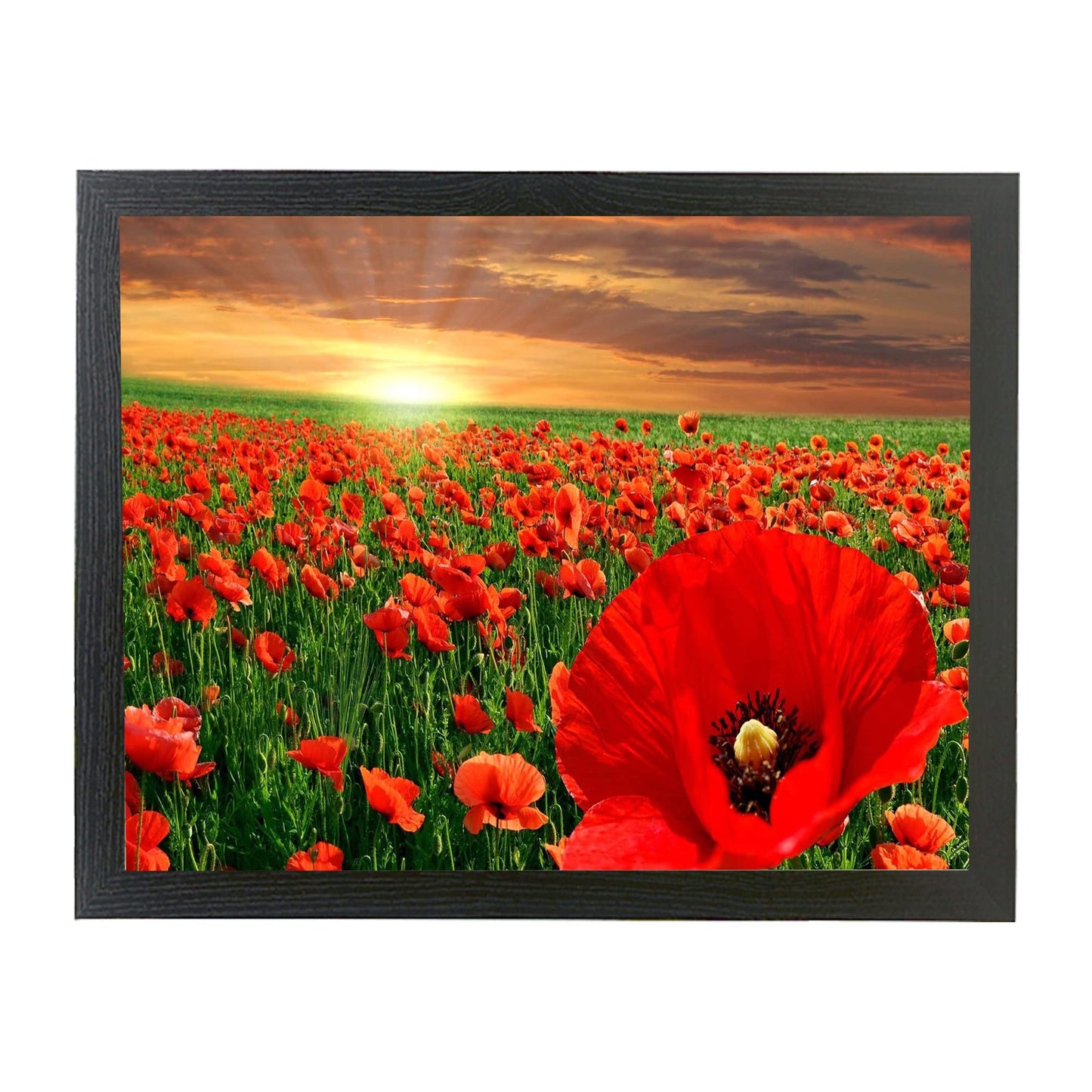 Sunset Poppies Soft Cushion Lap Tray Gift