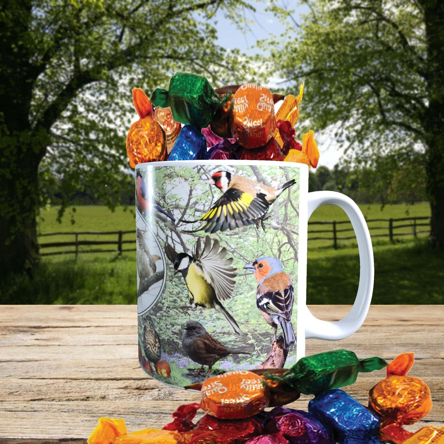 British Garden Birds Mug with Choice of Sweets Gift