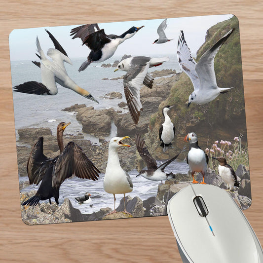 Coastal Birds Mouse Mat Gift