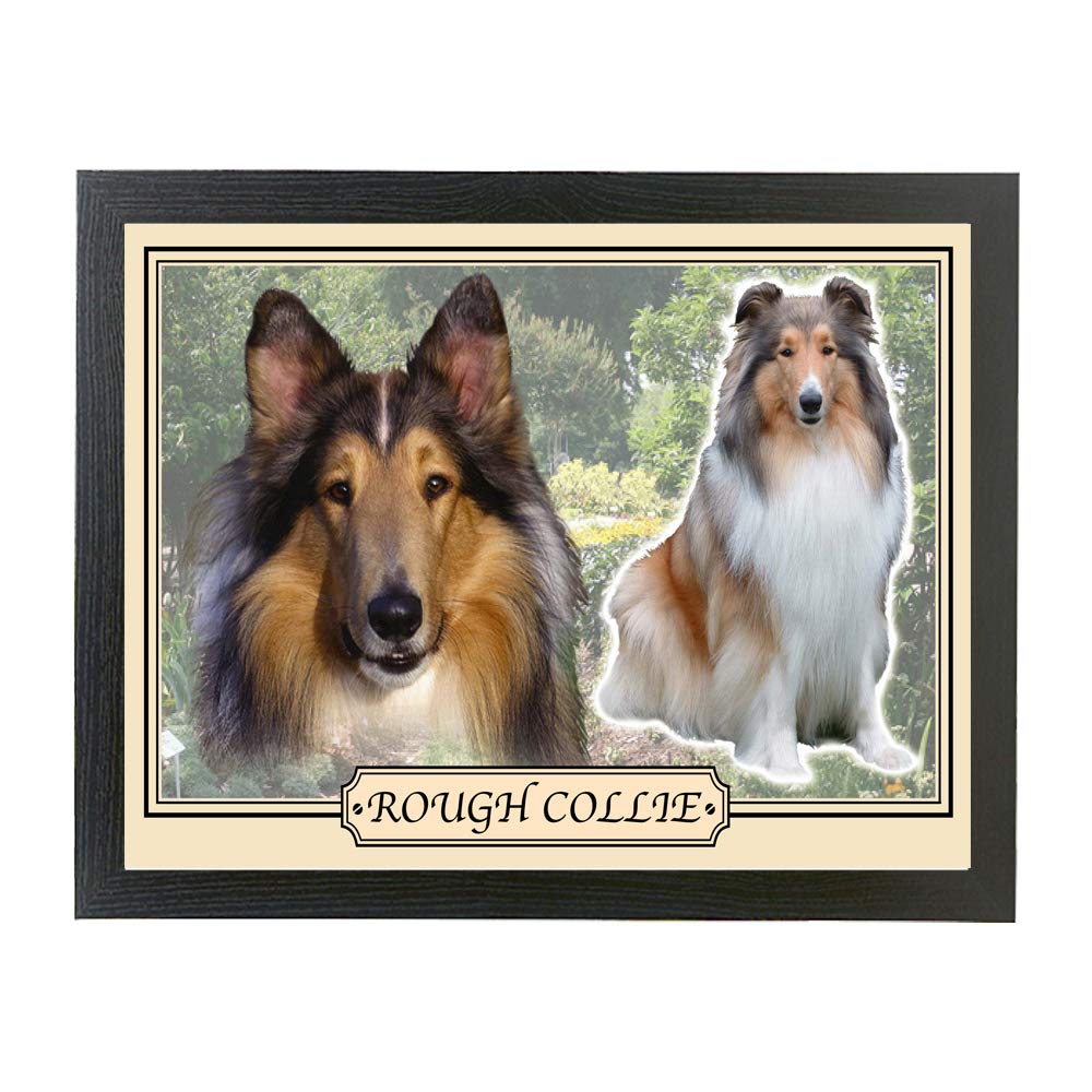 Rough Collie dog breed framed picture gift