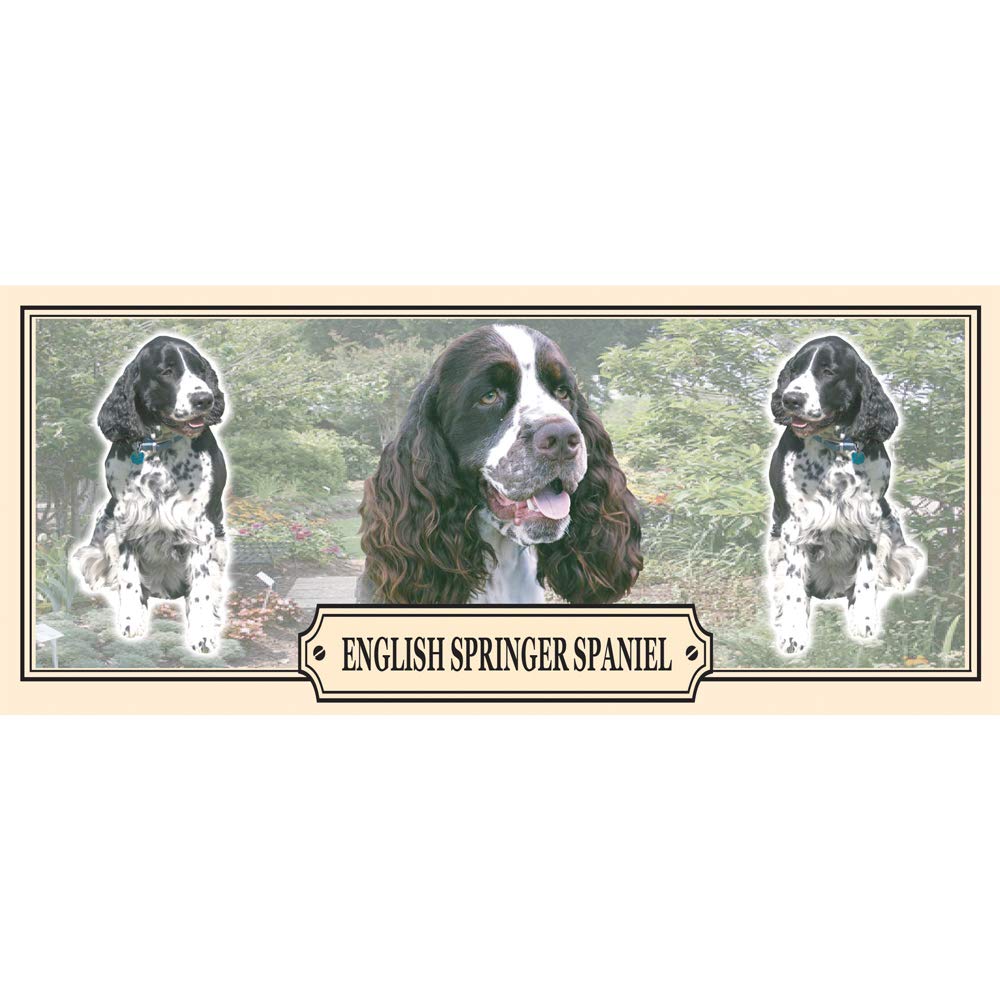 English Springer Spaniel Dog Breed Gift Mug with Treats