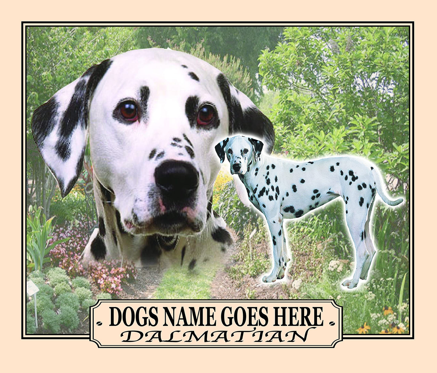 Dalmatian Personalised Dog Breed Mouse Mat Gift