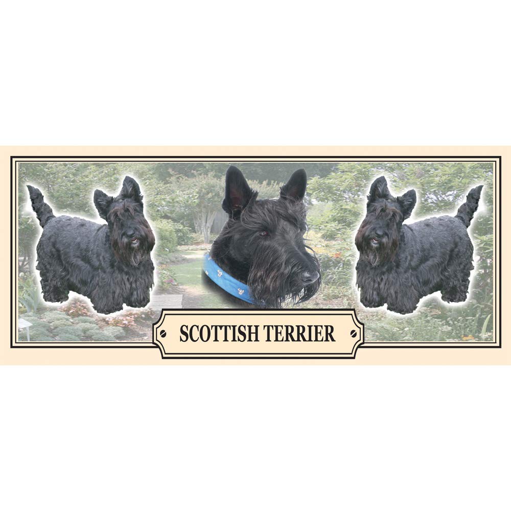 Scottish Terrier Dog Breed Gift Mug
