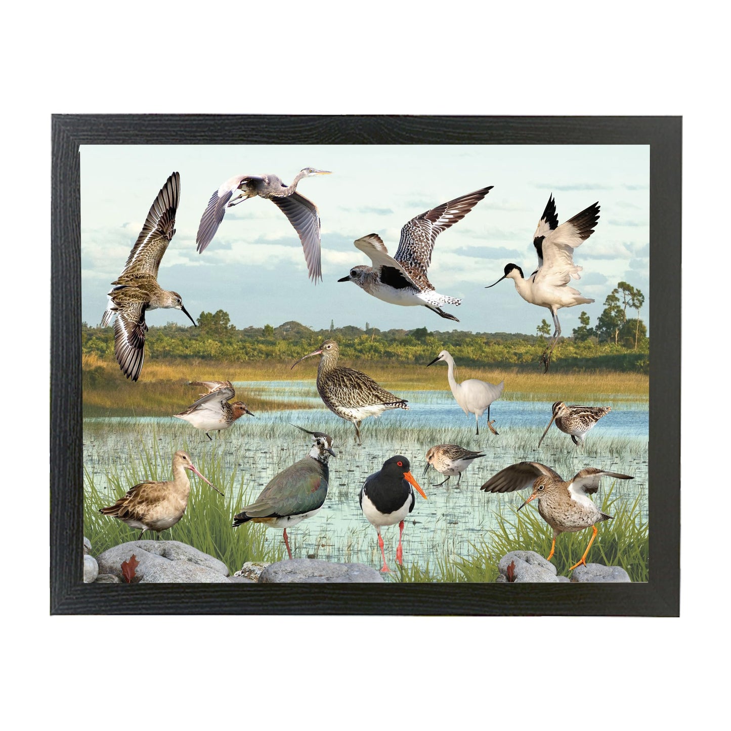 British Wetland Bird Ornithophile, Birder Lap Tray Gift