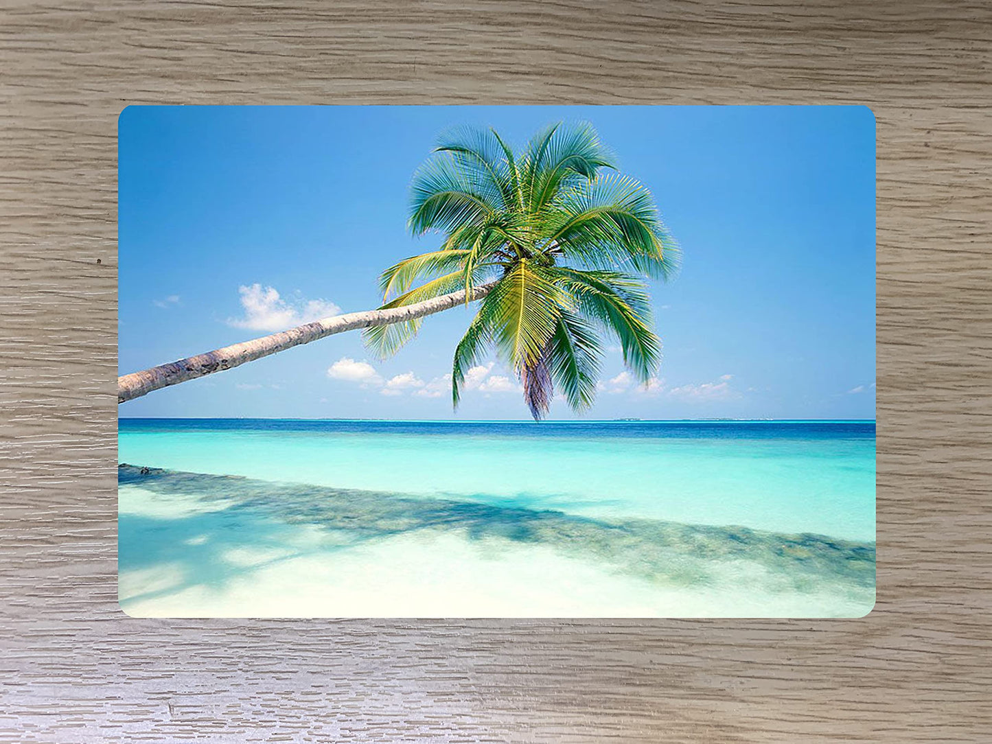 Lazy Days Palm Tree Paradise Island Scene Travel Passport Holder Case Gift Present